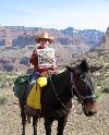 Aidan van Marle, 10, enjoyed a mule ride to Phantom Ranch at the bottom of the Grand Canyon over spring break. Aidan was accompanied by his grandparents from California. The ride was 5.5 hours down one day and 6.5 hours up the next day.
